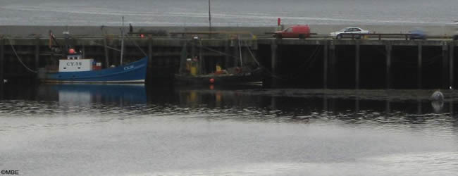 Long pier with cars driving and boas on the water during a gray day.
