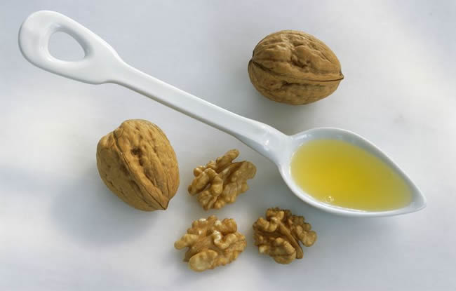 Spoonful of walnut oil and walnuts, studio shot