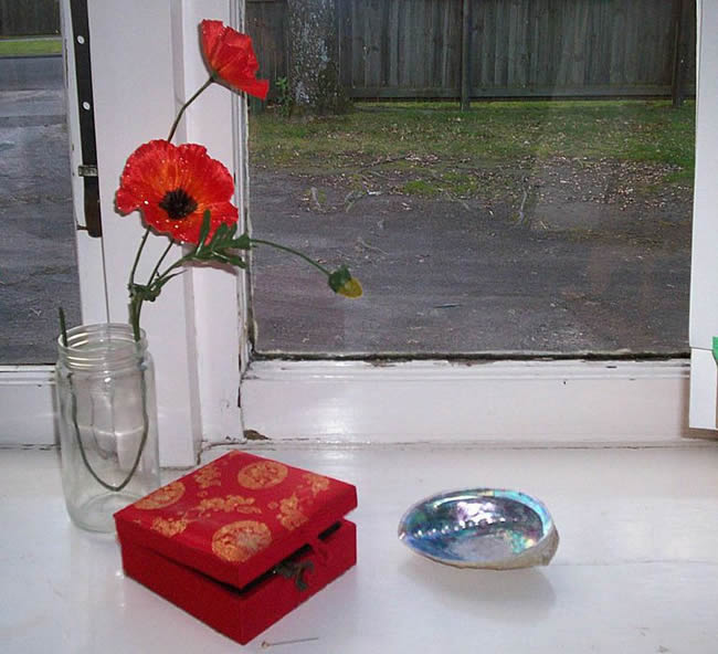 Still life with red poppies and abalone shell.