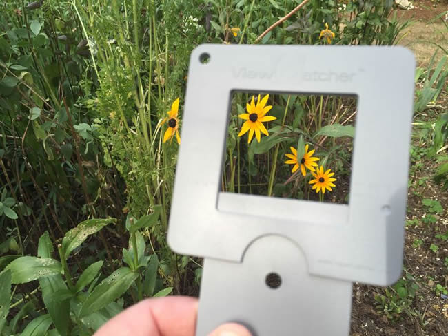 Composing a painting using a viewfinder