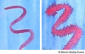 Photo of Watercolor Painting Techniques wet on wet and wet on dry